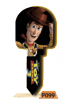 P099 ( WOODY )